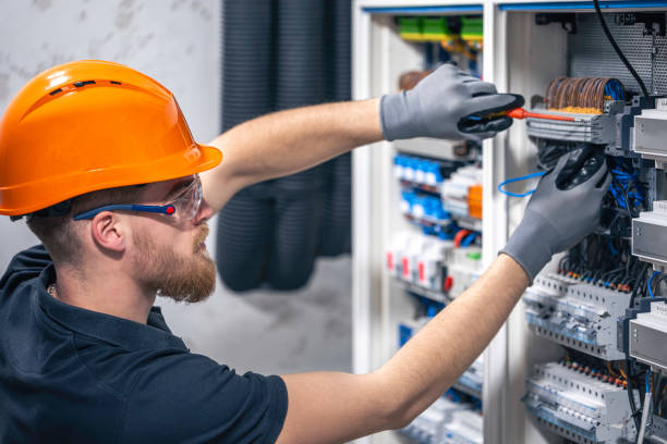 Best Electric Panel Repair  in Milan, TN